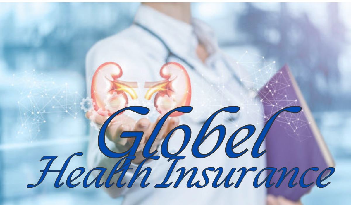 Everything You Need To Know About Global Health Insurance: